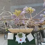 Отель Glicine