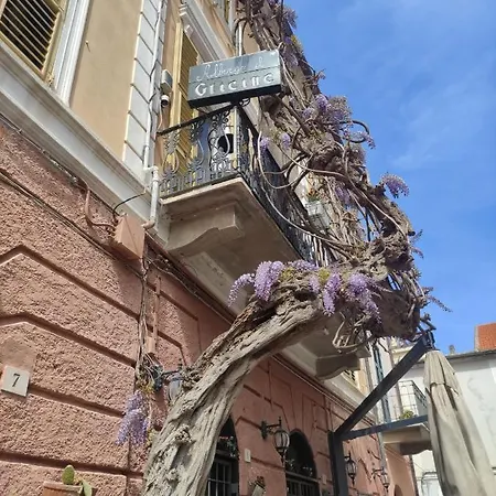 Glicine Noli