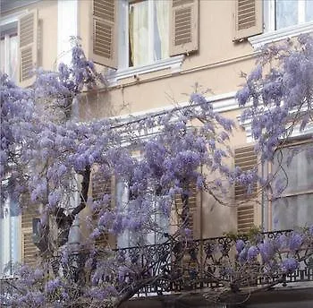 Hotel Glicine